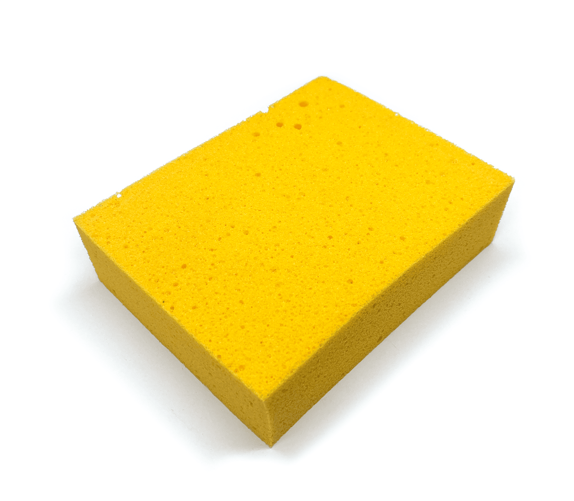 Sponges image